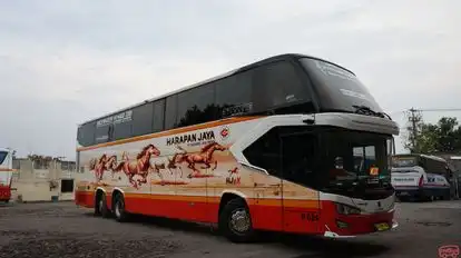 Harapan Jaya Bus-Front Image