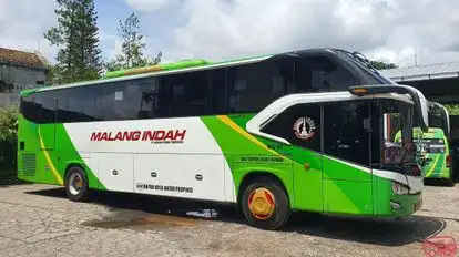 Malang indah Bus-Side Image