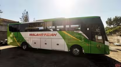Malang Indah Bus-Side Image