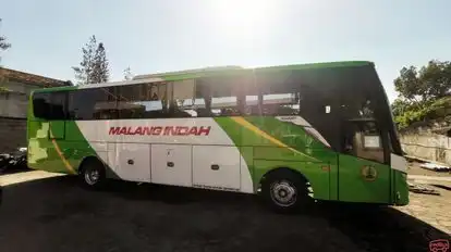 Malang Indah Bus-Side Image