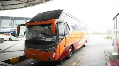 Putera Mulya Bus-Front Image