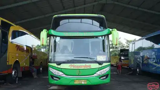 Nusantara Bus-Front Image