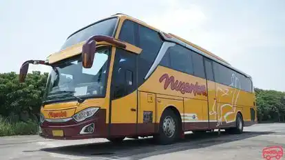 Nusantara Bus-Front Image