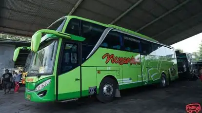 Nusantara Bus-Front Image
