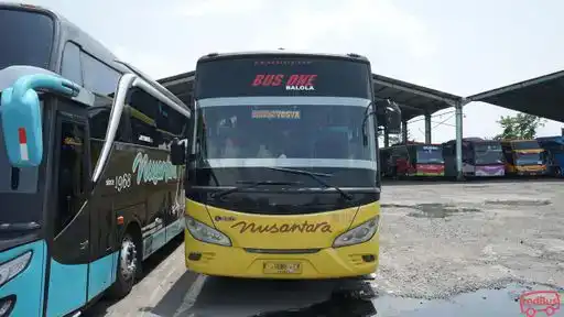 Nusantara Bus-Front Image