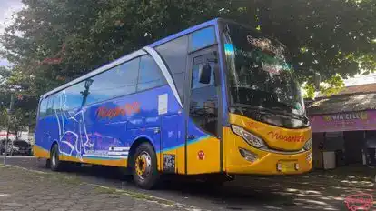 Nusantara Transindo Bus-Side Image