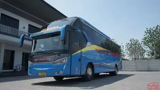 PT Jaya Utama Indo Bus-Front Image