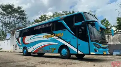 Tunggal Dara Bus-Front Image