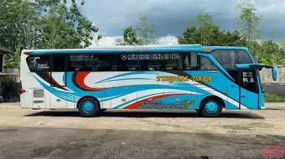 Tunggal Dara Bus-Side Image