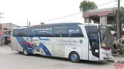 Batang pane baru Bus-Side Image