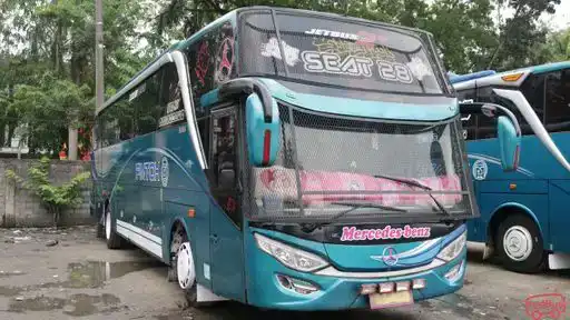 PMTOH Bus-Front Image