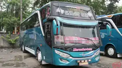 PMTOH Bus-Front Image