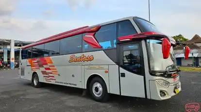 Santoso Bangkit Jaya Bus-Side Image