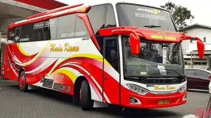 PO. Madu Kismo Bus-Front Image