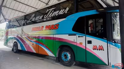 Mega Mas Bus-Side Image