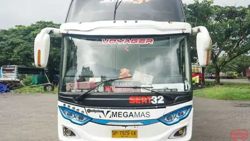 Mega Mas Bus-Front Image