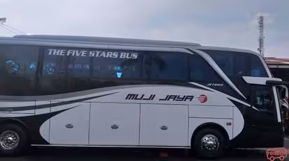 Muji Jaya Bus-Side Image