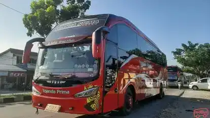 Yoanda Prima Bus-Front Image