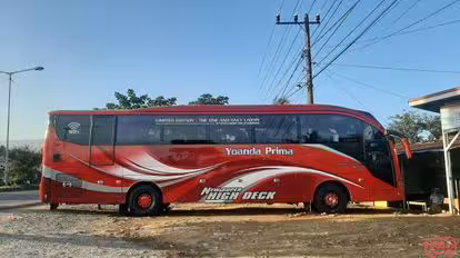 Yoanda Prima Bus-Side Image