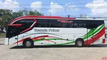 Yoanda Prima Bus-Side Image