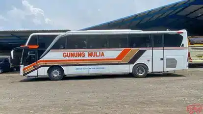 Gunung Mulia Putra Bus-Side Image
