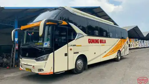 Gunung Mulia Putra Bus-Front Image