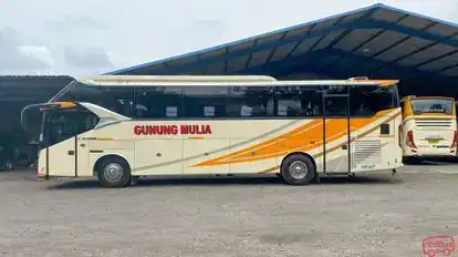 Gunung Mulia Putra Bus-Front Image