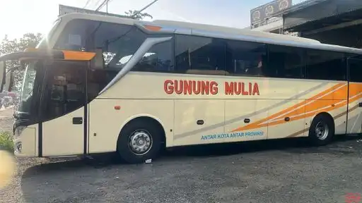 Gunung Mulia Putra Bus-Front Image