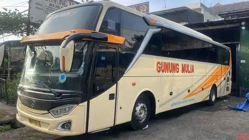 Gunung Mulia Putra Bus-Front Image