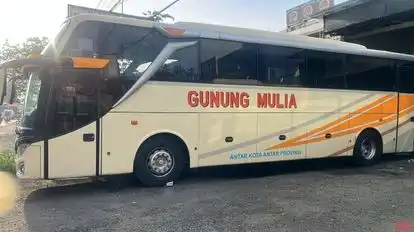 Gunung Mulia Putra Bus-Front Image