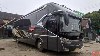 Po Logos Bus-Front Image