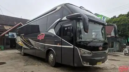 Po Logos Bus-Front Image