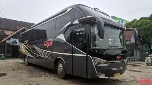 Po Logos Bus-Front Image