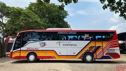 Gumarang Jaya Bus-Side Image