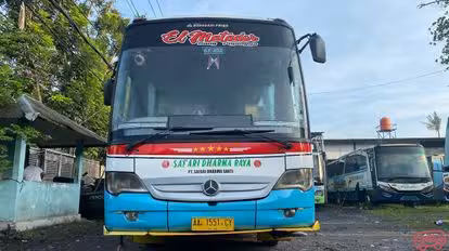 Safari Dharma Raya Bus-Front Image