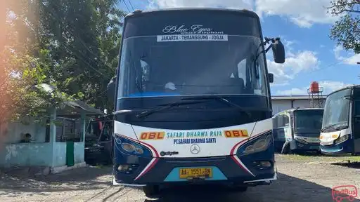 Safari Dharma Raya Bus-Front Image