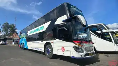 Safari Dharma Raya Bus-Front Image