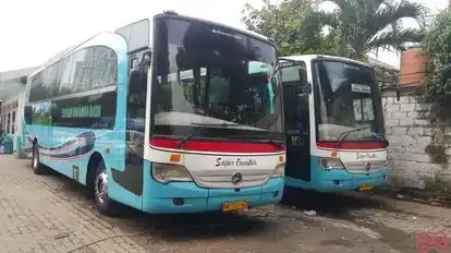 Safari Dharma Raya Bus-Front Image