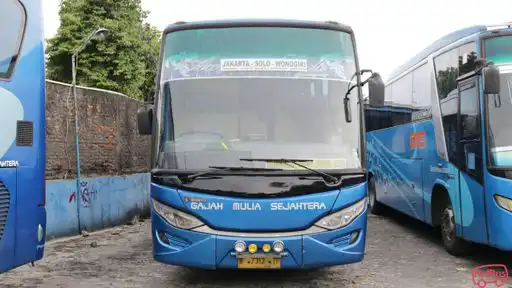 Gajah Mulia Sejahtera Bus-Front Image
