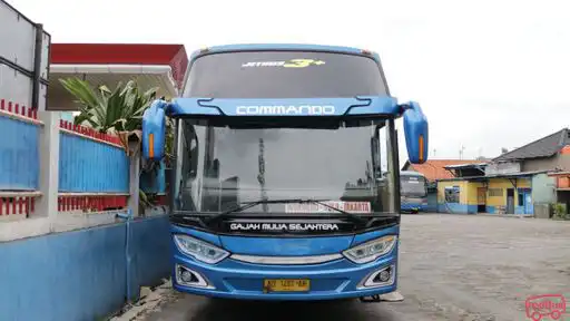Gajah Mulia Sejahtera Bus-Front Image