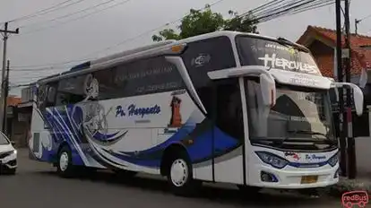Haryanto Bus-Side Image