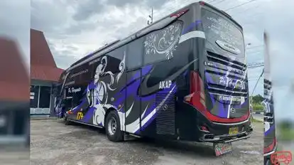 Haryanto Bus-Side Image