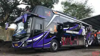 Haryanto Bus-Side Image