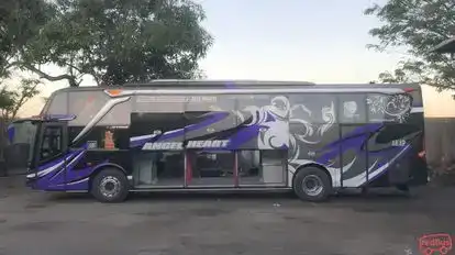 Haryanto Bus-Side Image