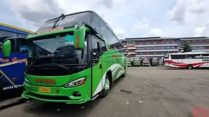 Arya Prima Bus-Front Image