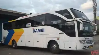 DAMRI Bus-Side Image