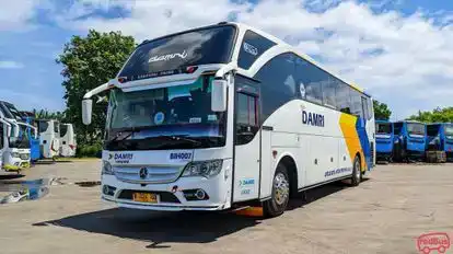 DAMRI Bus-Front Image