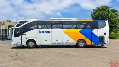 DAMRI Bus-Side Image