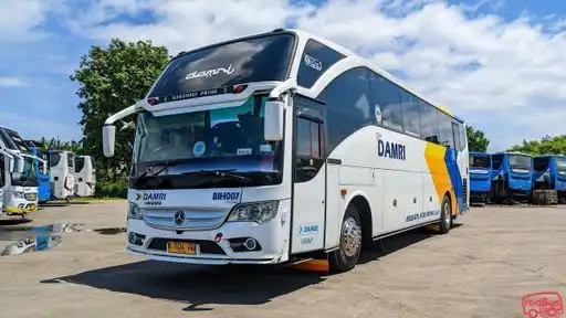 DAMRI Bus-Front Image