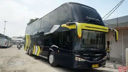 DAMRI Bus-Front Image